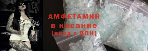 гидра Новозыбков