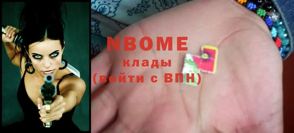 гидра Новозыбков