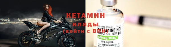 гидра Новозыбков