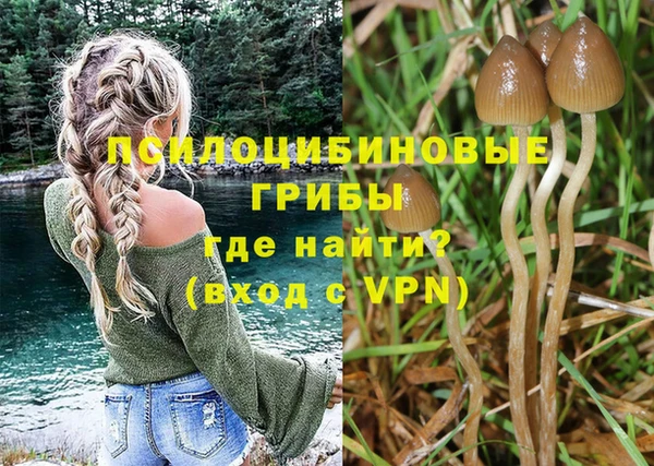 прущий лед Грязовец