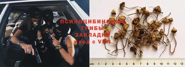 spice Губаха