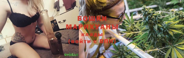 гидра Новозыбков