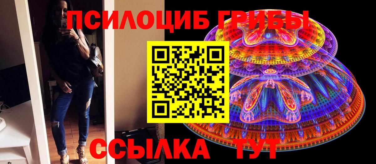 Галлюциногенные грибы GOLDEN TEACHER  Псилоцибиновые грибы мицелий  где продают наркотики  Вход с VPN  Отрадное 