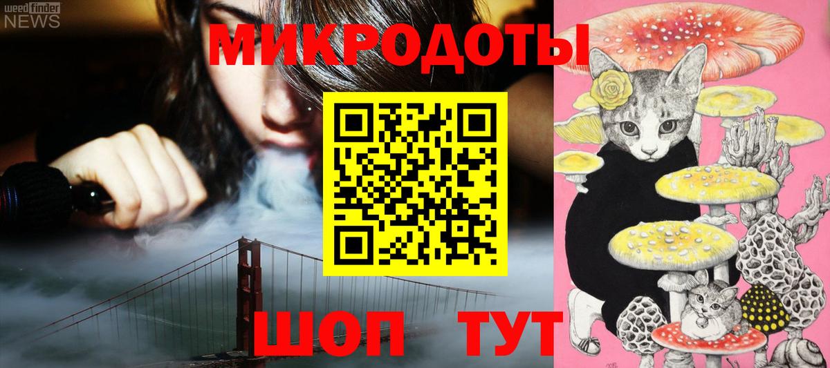 Псилоцибиновые грибы Cubensis Отрадное