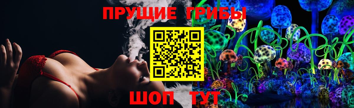 Галлюциногенные грибы мицелий  Псилоцибиновые грибы MAGIC MUSHROOMS  Отрадное 