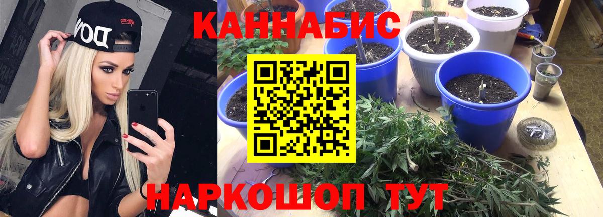 Бошки Шишки OG Kush  Отрадное  Канабис VHQ  Бошки Шишки LSD WEED  Каннабис AK-47 